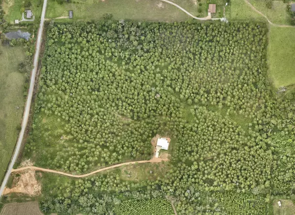 Columbia, MS 39429,TBD Gates Rd.