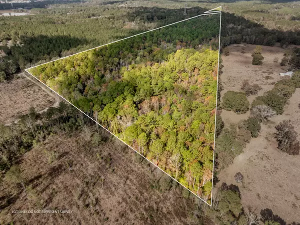 Moselle, MS 39459,000 Hwy 11