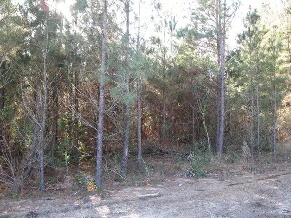Ellisville, MS 39437,Lot 1 Parkview Estates