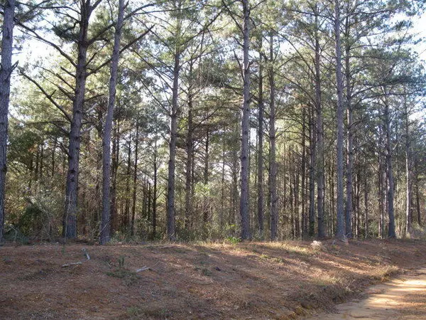 Ellisville, MS 39437,Lot 3 Parkview Drive