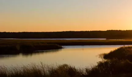 Lumberton, MS 39455,Lot 24 Branch Banks Big Bay Lake