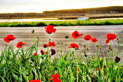 Lumberton, MS 39455,Lot 15 Branch Banks Big Bay Lake