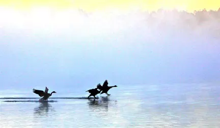 Lumberton, MS 39455,24 Windrose Big Bay Lake