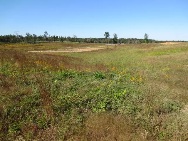 Ellisville, MS 39437,99 Joan Drive