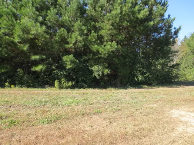 45 Joan Drive, Ellisville, MS 39437