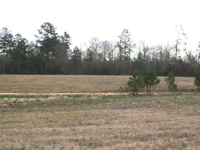 147 Joan Drive, Ellisville, MS 39437