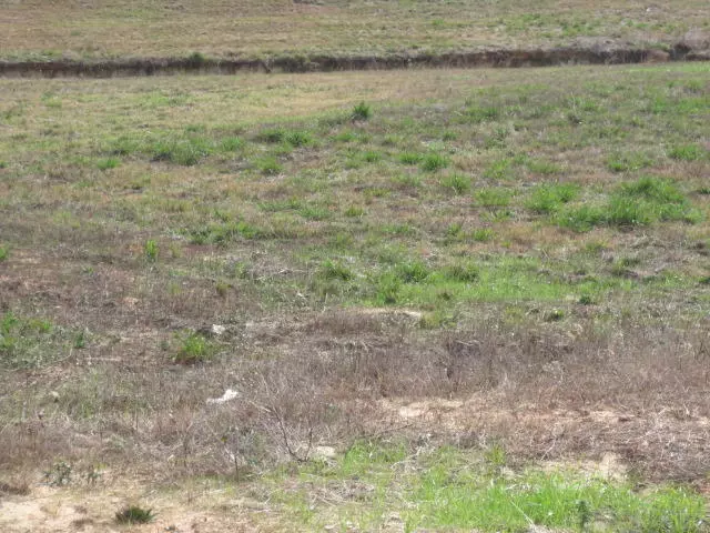 Ellisville, MS 39437,23 Josie Drive