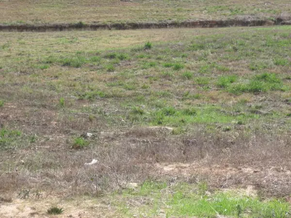 Ellisville, MS 39437,23 Josie Drive