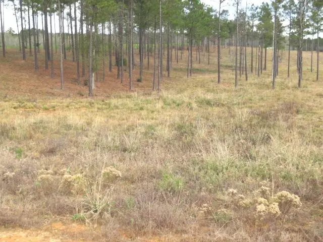 19 Josie Drive, Ellisville, MS 39437