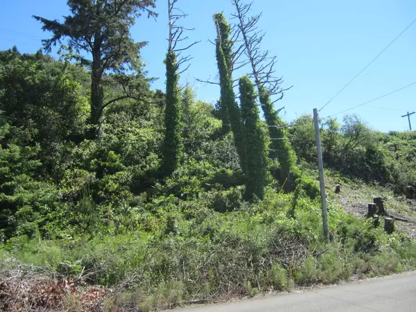 Netarts, OR 97143,Vacant Lot Happy Camp RD