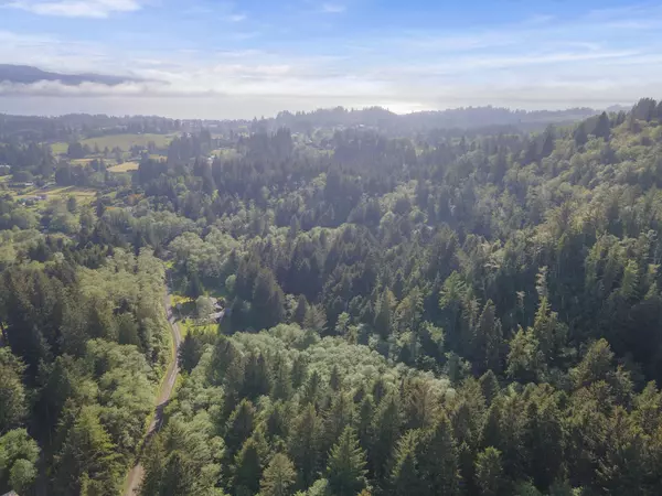 Tillamook, OR 97141,VL Willowbrook Dr (TL #2200)
