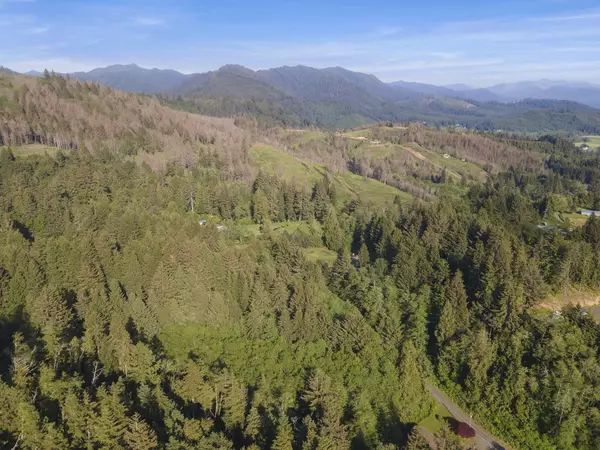 Tillamook, OR 97141,VL Willowbrook Dr (TL #2200)