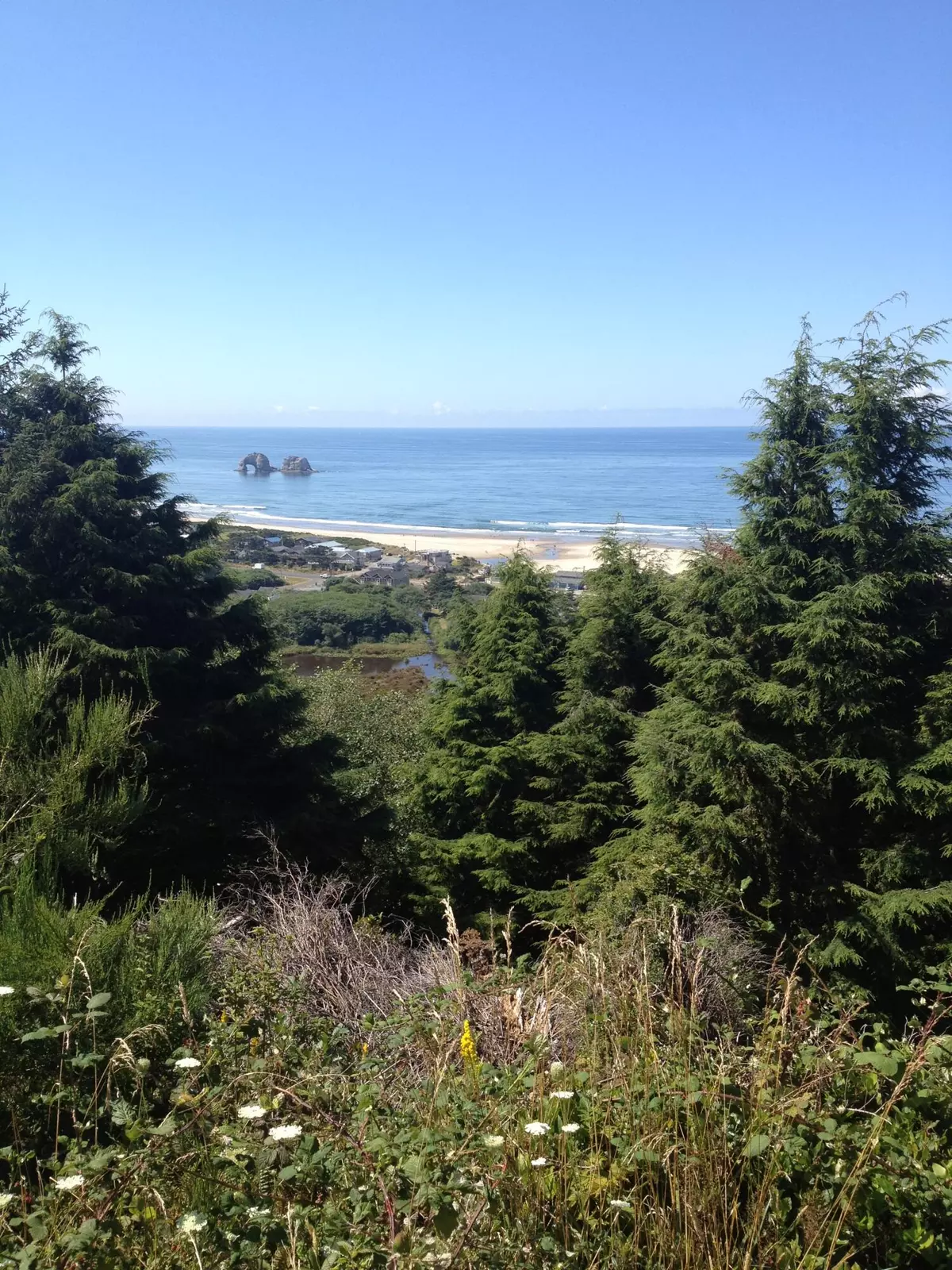 Rockaway Beach, OR 97136,Hillside DR #TL1N1005BA09900