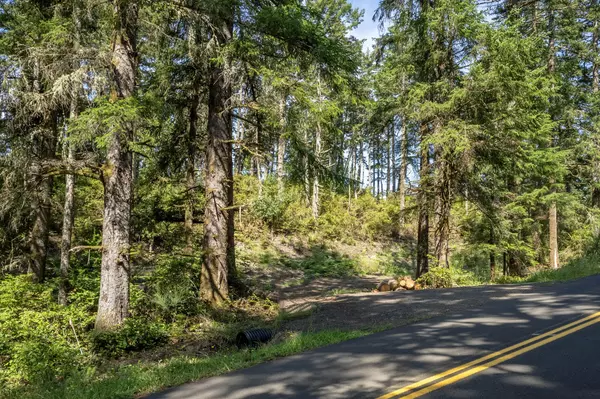 Oceanside, OR 97134,Hillsdale #TL 243
