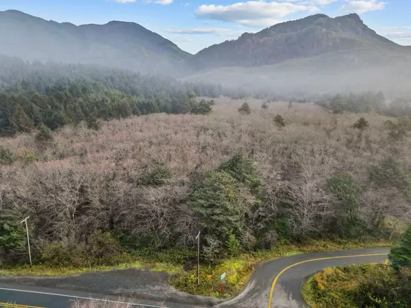 Arch Cape, OR 97102,TL 8500 E Beach RD #8500