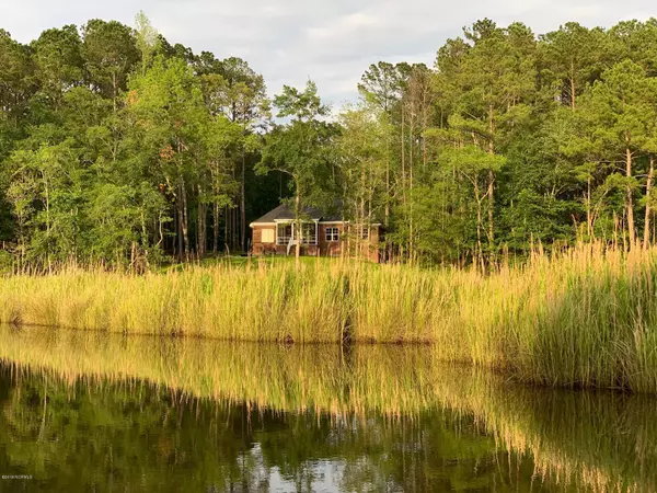 Minnesott Beach, NC 28510,220 Golden Fern LN
