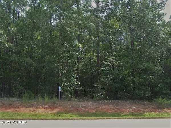 Rockingham, NC 28379,Lot 159 Tbd North State LN