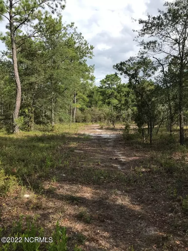 5.45 Acres Meeks Creek DR,  Rocky Point,  NC 28457