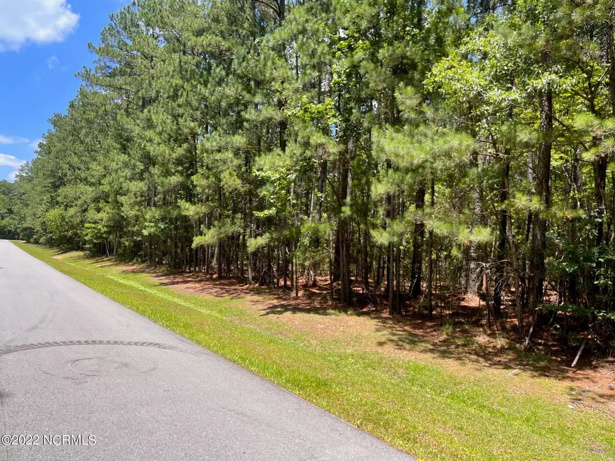 Oriental, NC 28571,20 Headwaters DR
