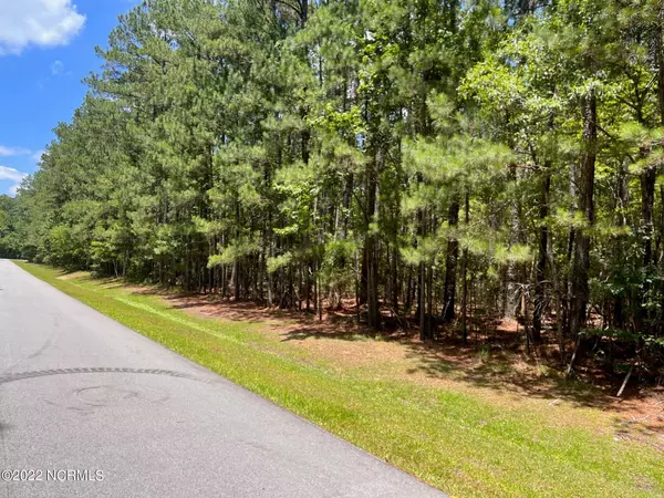 20 Headwaters DR, Oriental, NC 28571