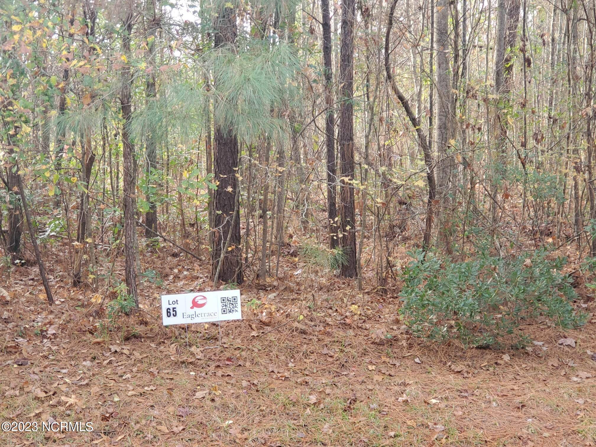 Lot 65 Eagle Trace DR, Blounts Creek, NC 27814