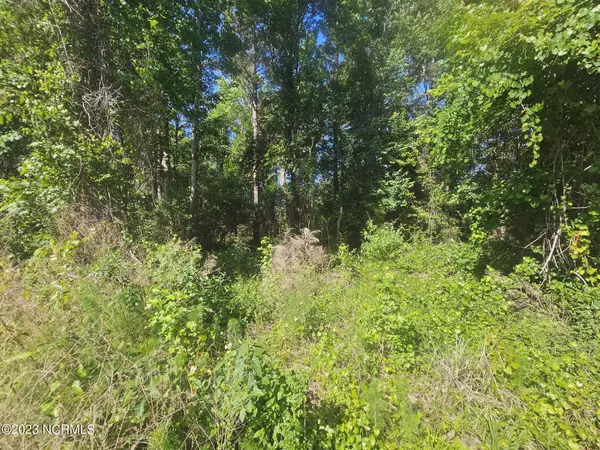 Holly Ridge, NC 28445,Lot 10 Dundee Trail TRL