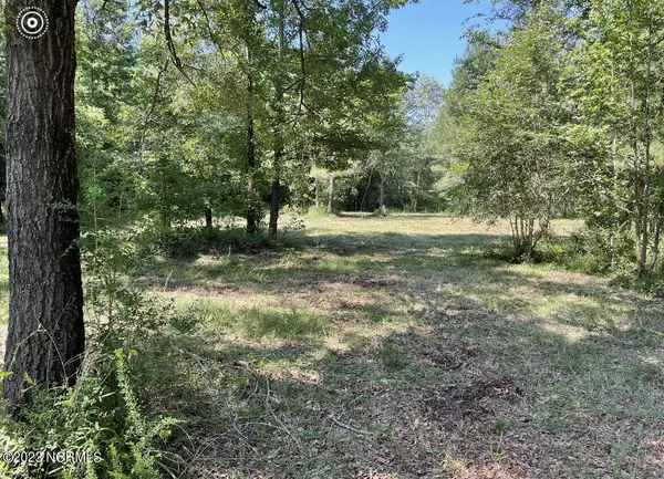 Burgaw, NC 28425,0 E Marney DR