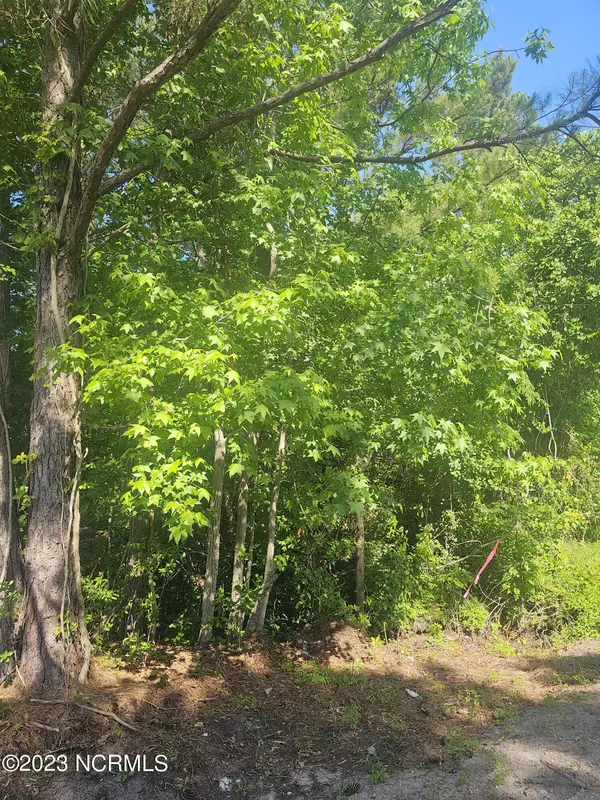 Holly Ridge, NC 28445,Lot 7 Dundee TRL