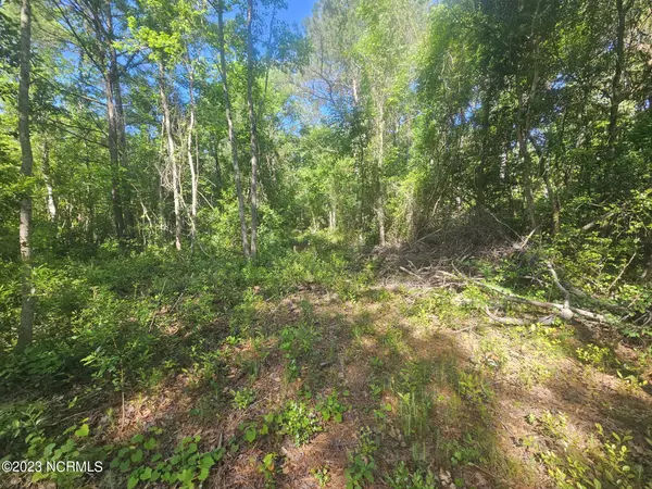 Holly Ridge, NC 28445,Lot 7 Dundee TRL