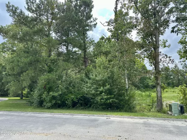 Leland, NC 28451,7159 Old Stump DR