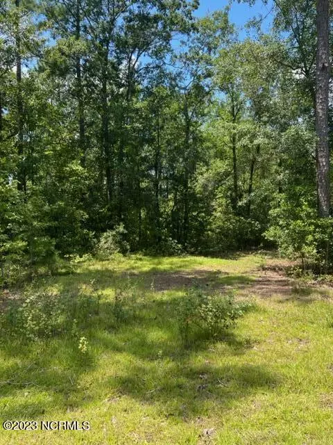6681 Mossey Run DR #NE, Leland, NC 28451