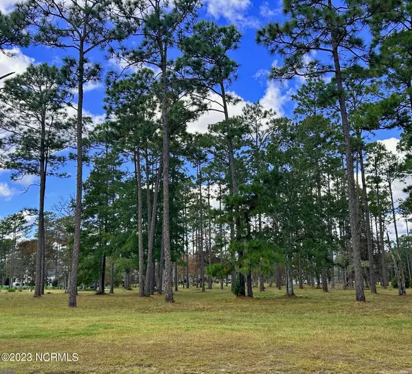 Ocean Isle Beach, NC 28469,584 Morely CIR #SW