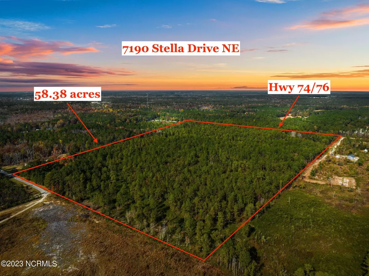 Leland, NC 28451,7190 Stella DR #NE