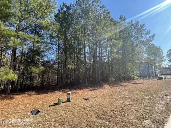 Leland, NC 28451,3772 Silver Melon RD #NE
