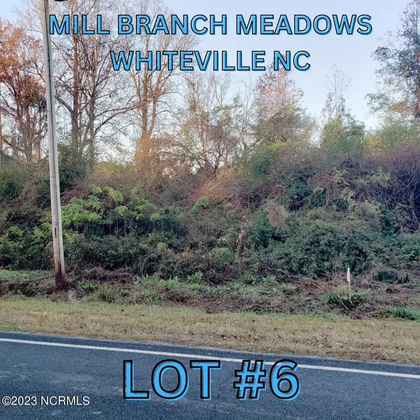 Whiteville, NC 28472,1818 Harrelsonville RD