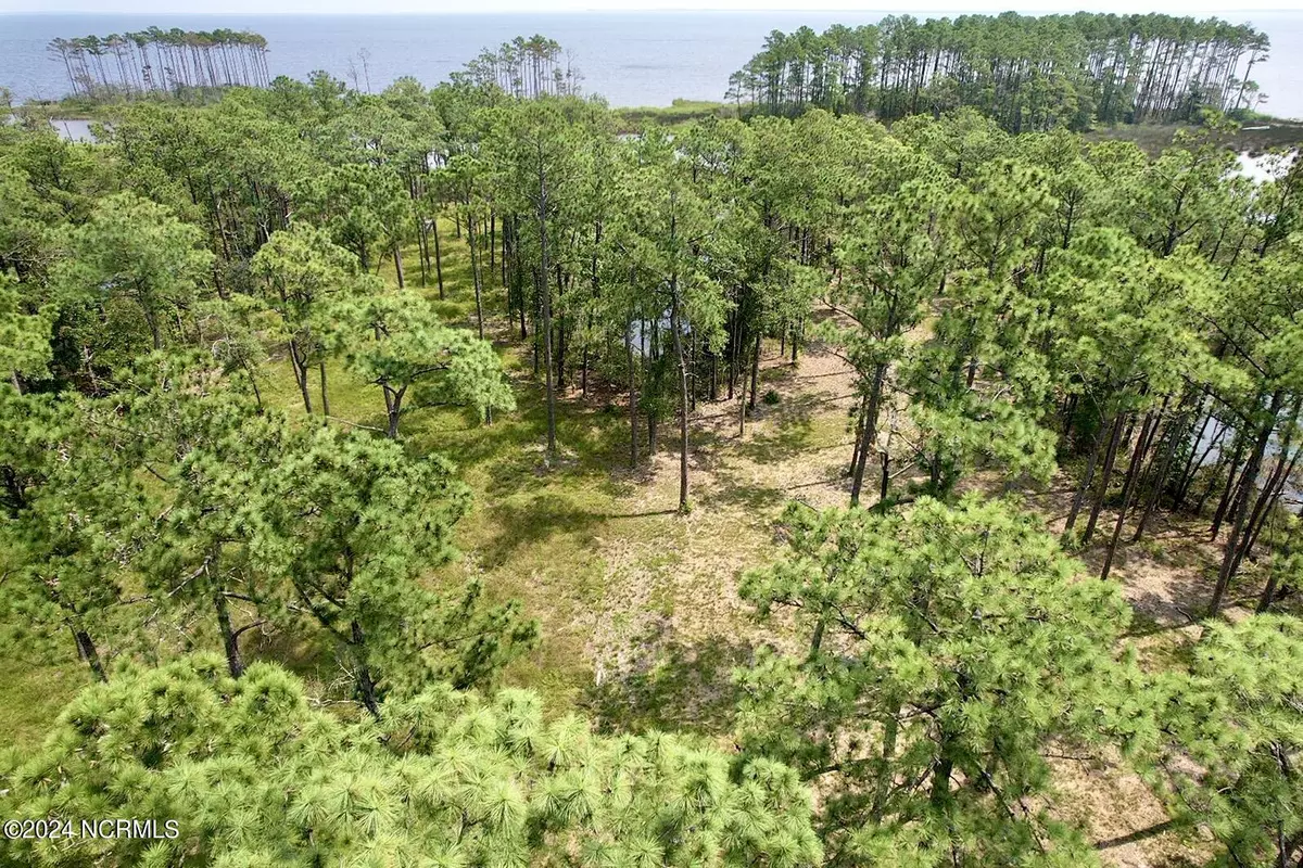 Oriental, NC 28571,203 River Watch RD