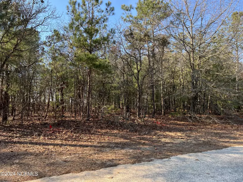 Lot 20 Old Tom Morris RD, Garland, NC 28441