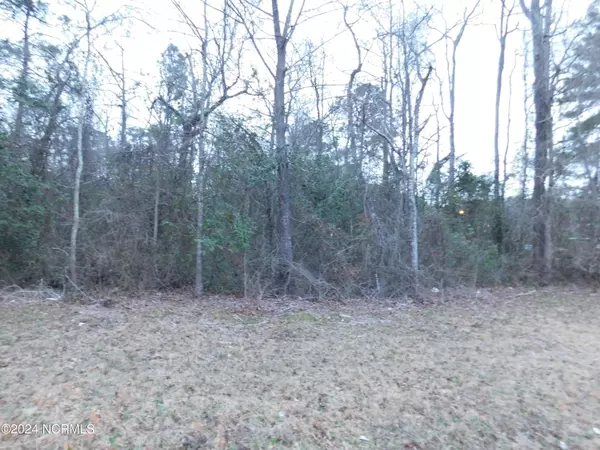Laurinburg, NC 28352,000 X Way RD