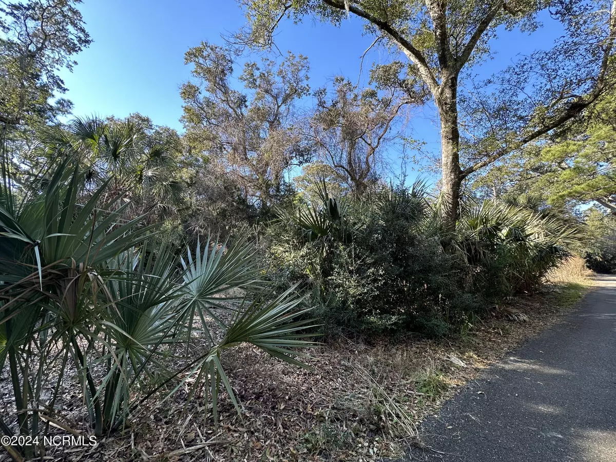 Bald Head Island, NC 28461,6 Spanish Needles CT