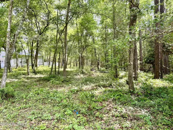 1119 Indigo Branch RD #SW, Supply, NC 28462