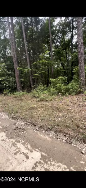 Lot 23 Cedar LN, Eagle Springs, NC 27242