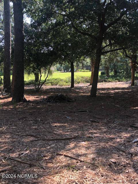 208 Gazebo CT, Wilmington, NC 28403
