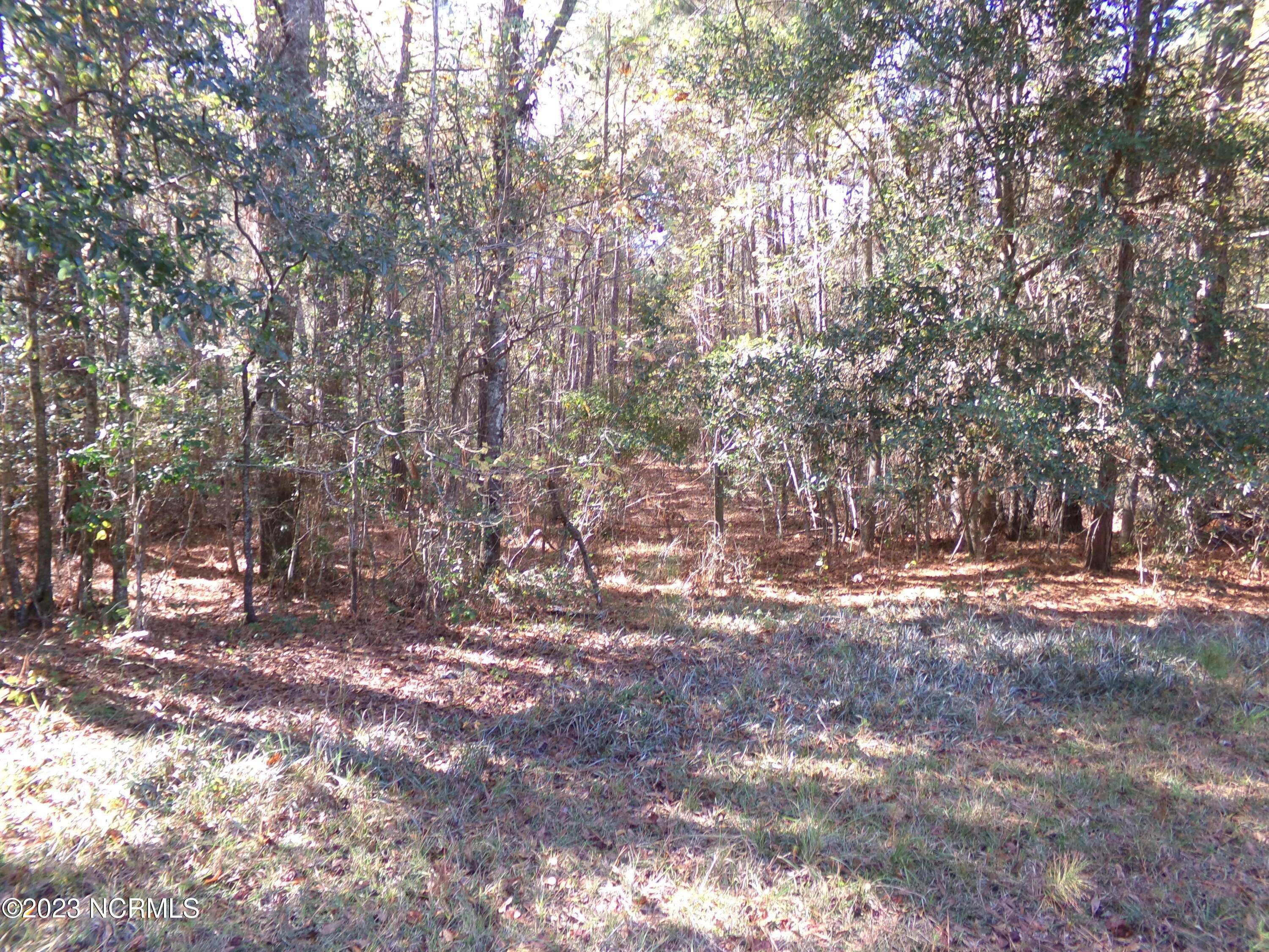 . Near 242 Murphy LN, Delco, NC 28436