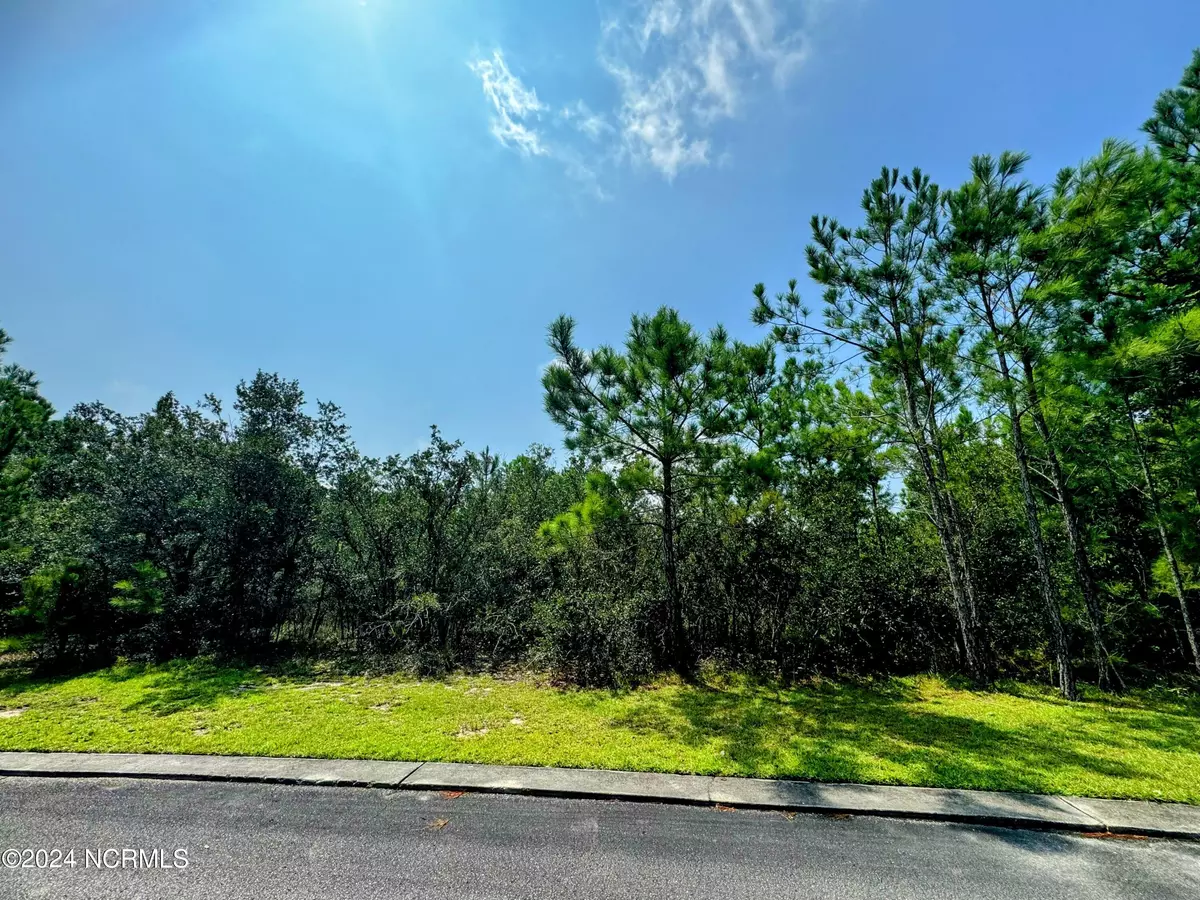 Shallotte, NC 28470,2975 Old Berwick ST #SW