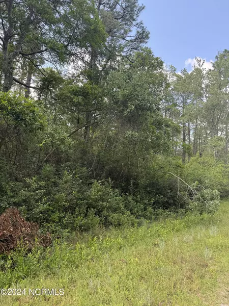 Lot 83 Beech RD, Boiling Spring Lakes, NC 28461