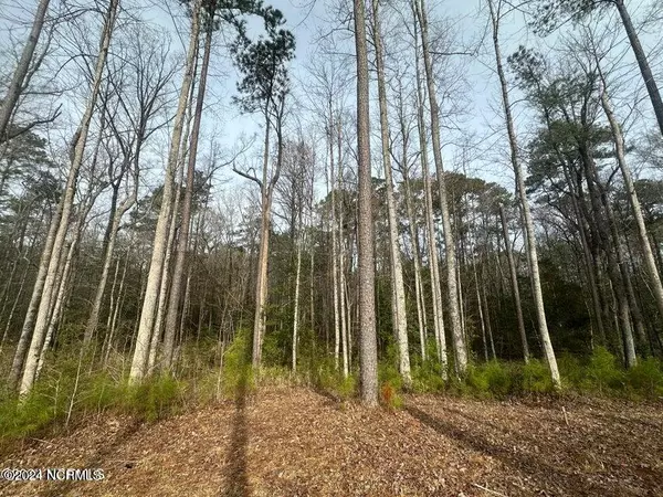 New Bern, NC 28562,1007 Parchment BLF