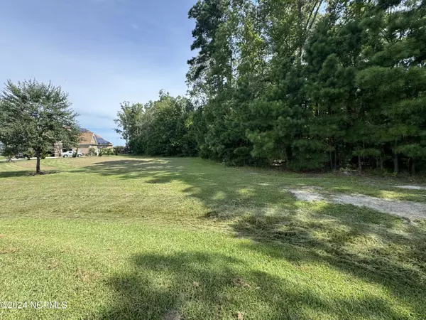 Hertford, NC 27944,80 Saddlebred CT