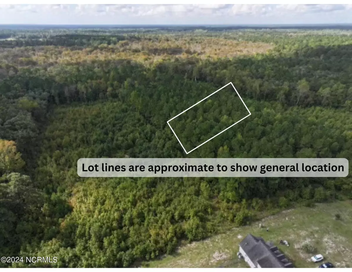 Leland, NC 28451,Lot 3 Palmers Branch DR #NE
