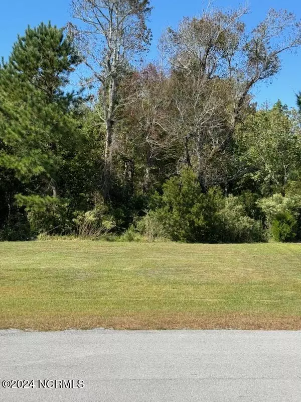 Holly Ridge, NC 28445,107 Night Heron TRCE