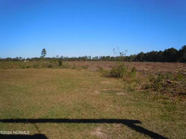 Near 8195 Old Stake RD, Tabor City, NC 28463